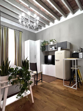 Room114 - Studio apartment near the center, Florence
